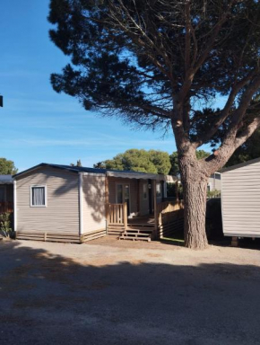 Mobil-home